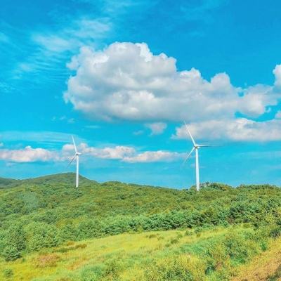 2021风电发展进入“加速提质”新阶段